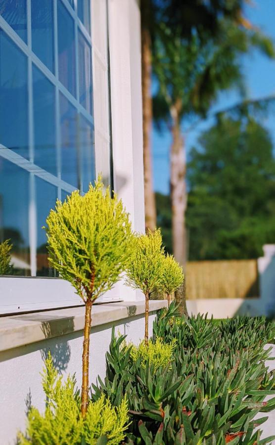 The Palm House Vila Ovar Exterior foto