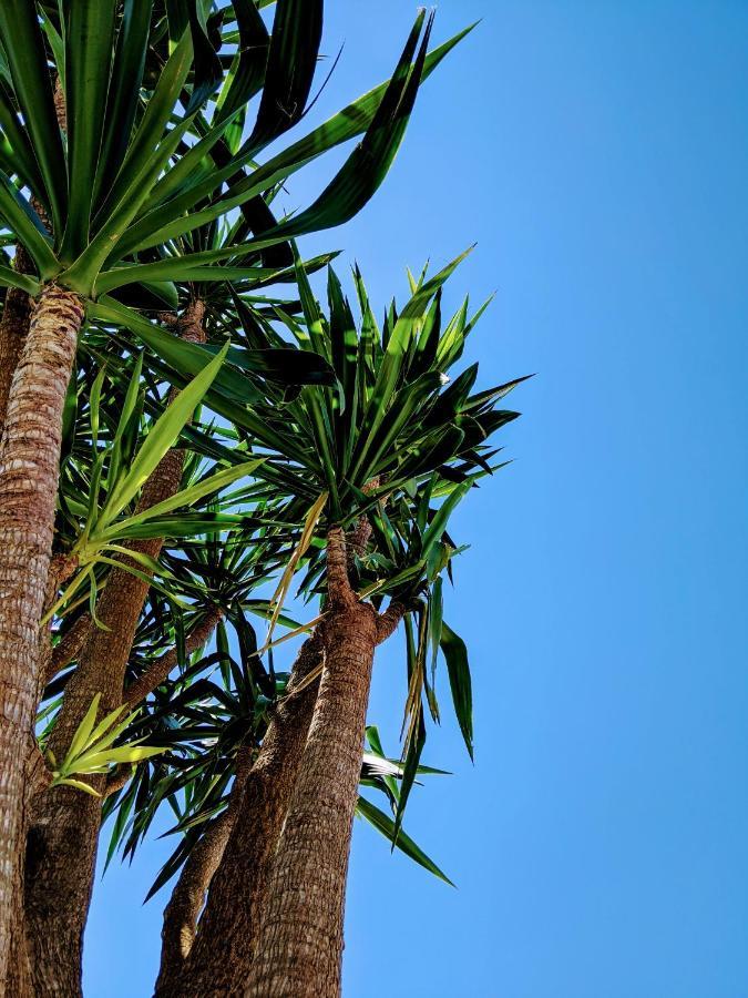 The Palm House Vila Ovar Exterior foto