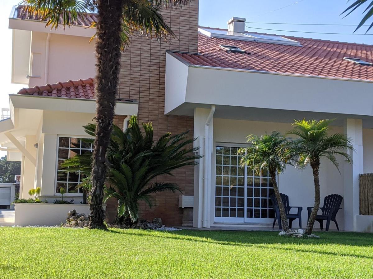 The Palm House Vila Ovar Exterior foto